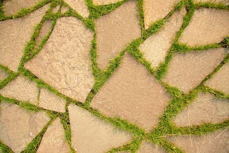 footpath with a growing grass between stones. abstract backgroundの写真素材