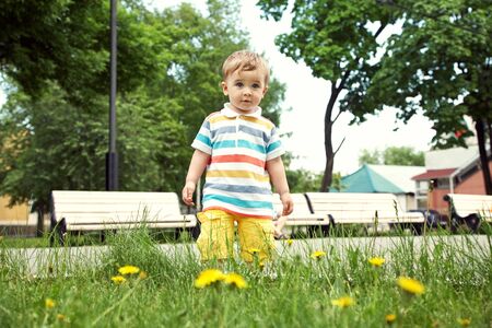 outdoor portrait of a little boy. walking child in a summer park on the grass with yellow dandelions.の写真素材