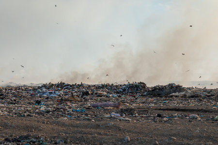 Pollution concept, Burning garbage pile in trash dump or landfill
