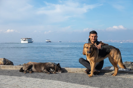 A man petting a stray dogの写真素材