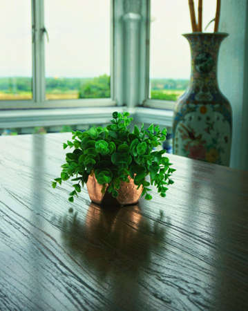 A flower pot on the table