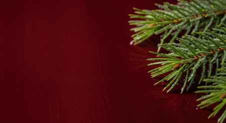 Fir branch on a red wooden background. Christmas and New Year concept.の素材
