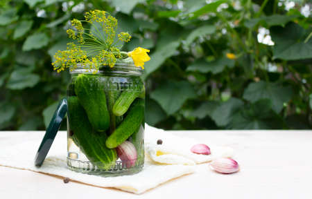 The recipe pickled cucumbers in a glass jar.の写真素材
