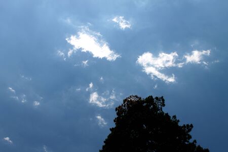Sky with clouds and treeの写真素材
