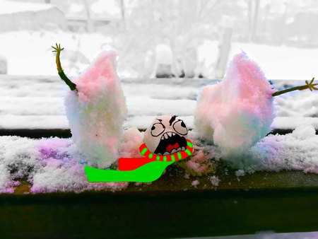Snowman had an accident