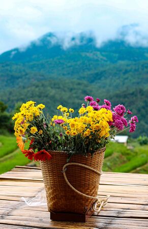 Fresh flowers are planted on high mountains of many colors, arranged in groups packed in a special basket that can be the back bridge. View of the mountain nextの写真素材