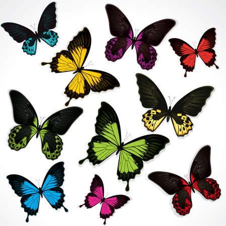 Butterfliesのイラスト素材