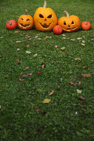 Pumpkins for Halloweenの写真素材