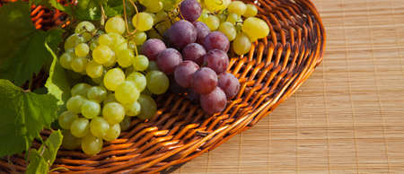Composition with grapesの写真素材