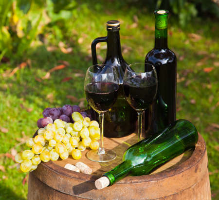 Still Life with Grapesの写真素材