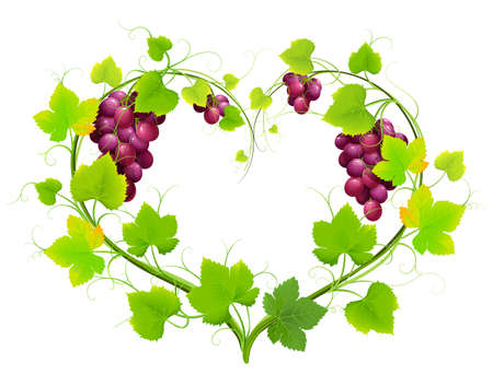 Grapes with leaves in the form of heart. Vectorのイラスト素材