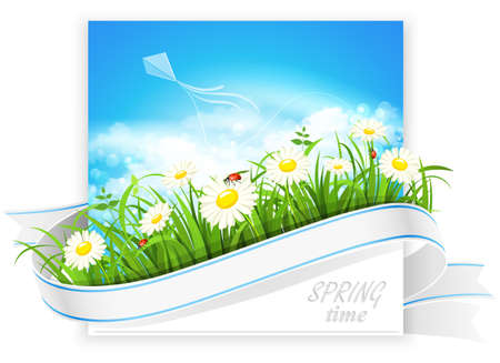 Spring composition with green grass, flowers and ladybirds  Vector illustrationのイラスト素材