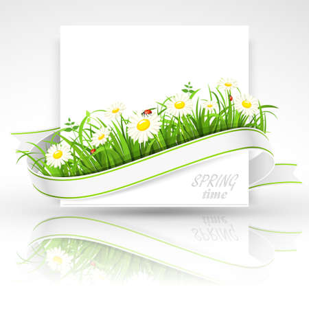Spring banner with green grass, flowers and ladybirds  Vector illustrationのイラスト素材