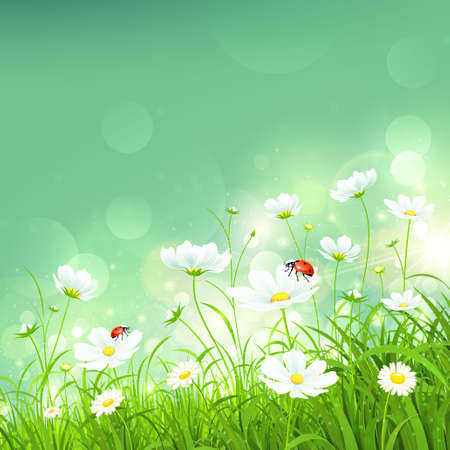 Natural background with flowersのイラスト素材