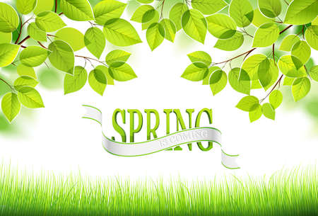 Natural background のイラスト素材