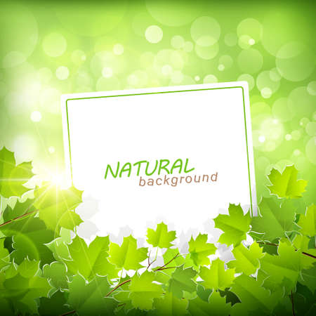 Natural green background  のイラスト素材