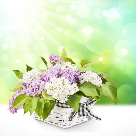 Basket with lilac natural backgroundの写真素材