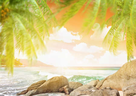 Tropical beach with palm trees at sunsetの写真素材