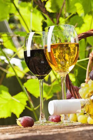 Red and white wine on a background of green grape leavesの写真素材