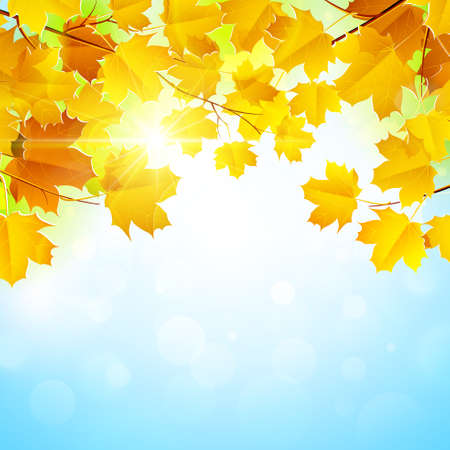 Autumn leaves on blue sky backgroundのイラスト素材