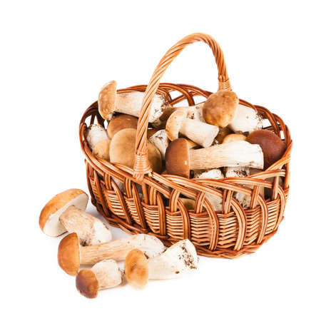 Mushrooms in a basket isolated on white backgroundの写真素材