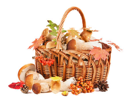 Mushrooms in a basket isolated on white backgroundの写真素材