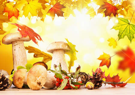 Autumn still life with mushrooms and leavesの写真素材