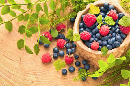 Raspberries and blueberries with green leaves macroの写真素材