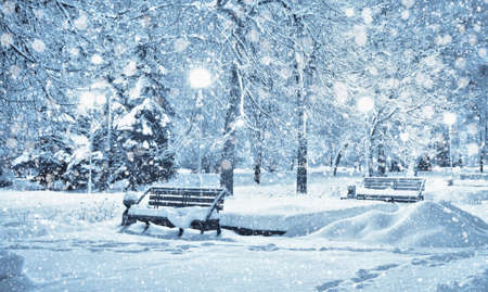 Snow covered trees and benches in city parkの写真素材