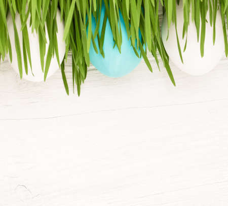 Easter Eggs with green grass on white wooden backgroundの写真素材