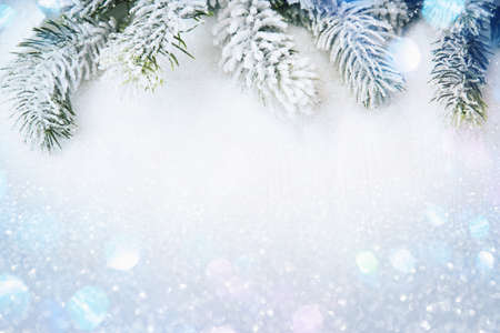 Winter decorations spruce branches in snow on white wooden backgroundの写真素材