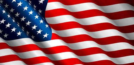 United States Flag Vectorのイラスト素材