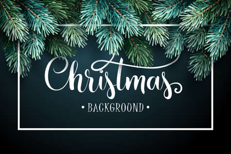 Fir Branches with Handwriting Letteringのイラスト素材