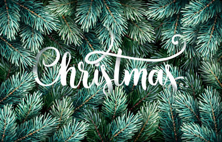 Fir Branches with Handwriting Letteringのイラスト素材