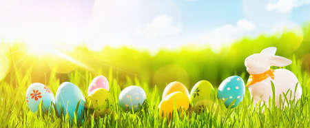 Easter Eggs With Fresh Green Grass and Sunの写真素材