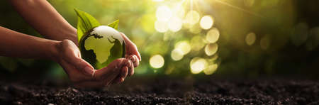 Green Planet in Your Hands. Save Earth. Environment Conceptの写真素材