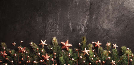 Christmas Decoration With Fir Branches and Red Berries On a Dark Background