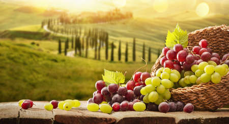 Grapes In A Basket On A Wooden Background. Harvestingの写真素材
