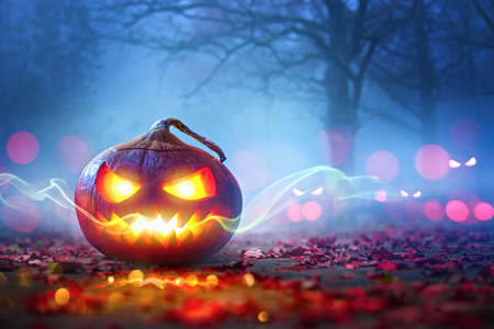 Halloween Pumpkins Glowing In Fantasy Night Forest . Jack OLantern Holiday Horror Backgroundの写真素材