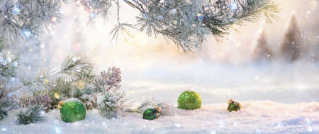 Winter Sunny Landscape with Spruce Branches. Christmas Decorationの写真素材