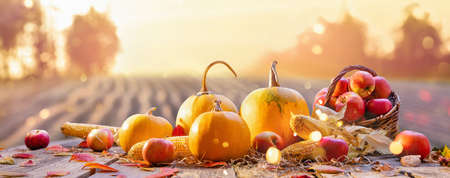 Happy Thanksgiving Day Background. Wooden Table Decorated with Pumpkins. Holiday Autumn Concept...