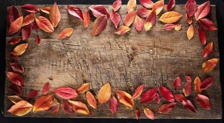 Red and Yellow Leaves on an Old Wooden Backgroundの写真素材