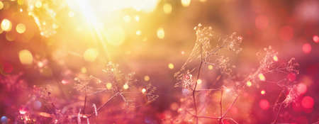 Blurred Bright Autumn Background. Abstract Colorful Bokehの写真素材