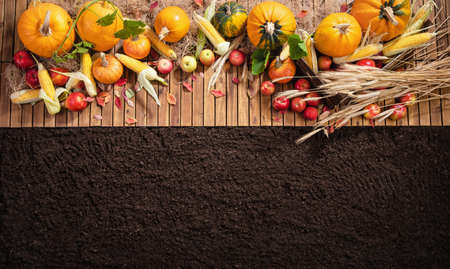 Harvested Autumn Harvest on a Wooden Background. Top Viewの写真素材