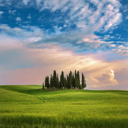 Beautiful Italian Landscape with Cypresses. Tuscany Italyの写真素材