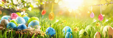 Spring Natural Background With Easter Eggs and Fresh Green Grassの写真素材
