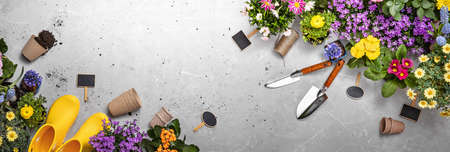 Gardening Tools on Shale Background. Spring Garden Works Conceptの写真素材