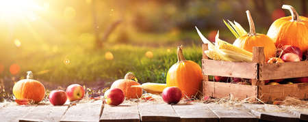 Happy Thanksgiving Day Background. Autumn Harvestの写真素材
