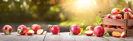 Apples In A Basket Outdoor Sunny Backgroundの写真素材