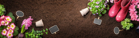 Gardening tools with flowers. Spring conceptの写真素材